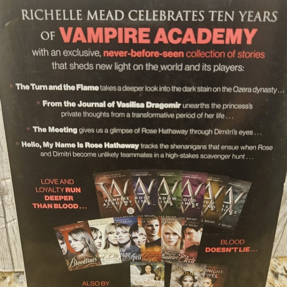 Vampire Academy The 10th Anniversary Edition Richelle Mead Paperback Book - Picture 5 of 6